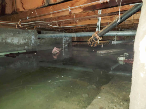  Clyde, OH Water damage restoration Pros