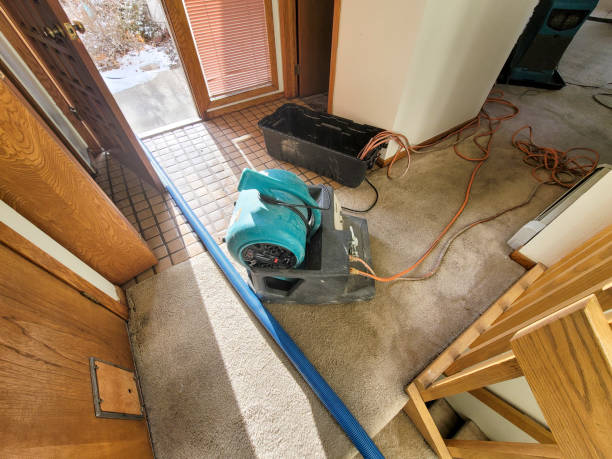 Best Water damage restoration near me  in Clyde, OH