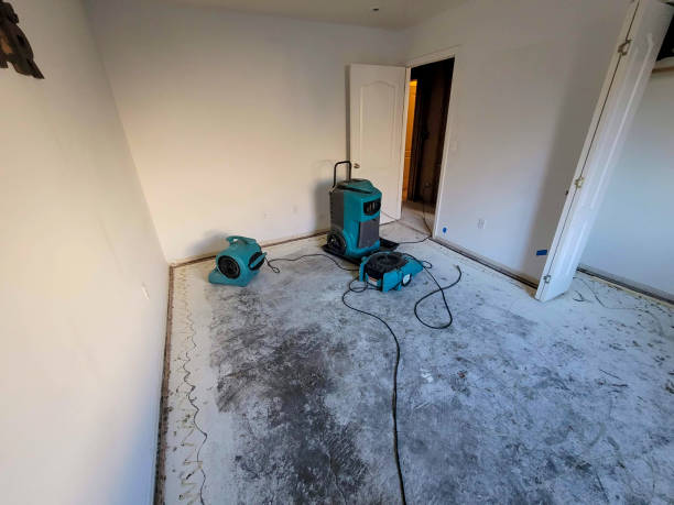 Best Emergency water damage restoration  in Clyde, OH