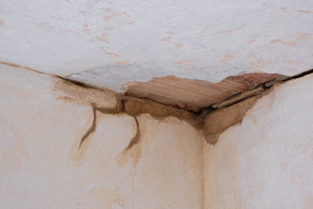 Best Carpet water damage restoration  in Clyde, OH