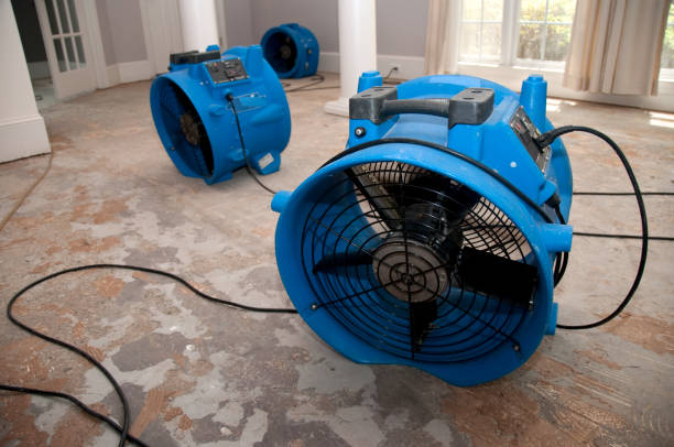 Best Water damage restoration near me  in Clyde, OH