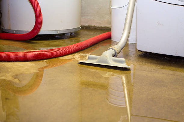 Best Water damage contractors near me  in Clyde, OH