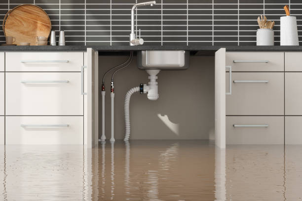 Best Local water damage restoration  in Clyde, OH
