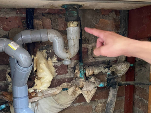 Best Flood restoration services  in Clyde, OH
